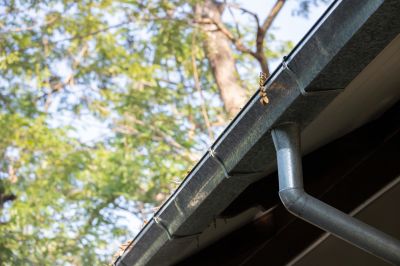 Gutter Guard Systems