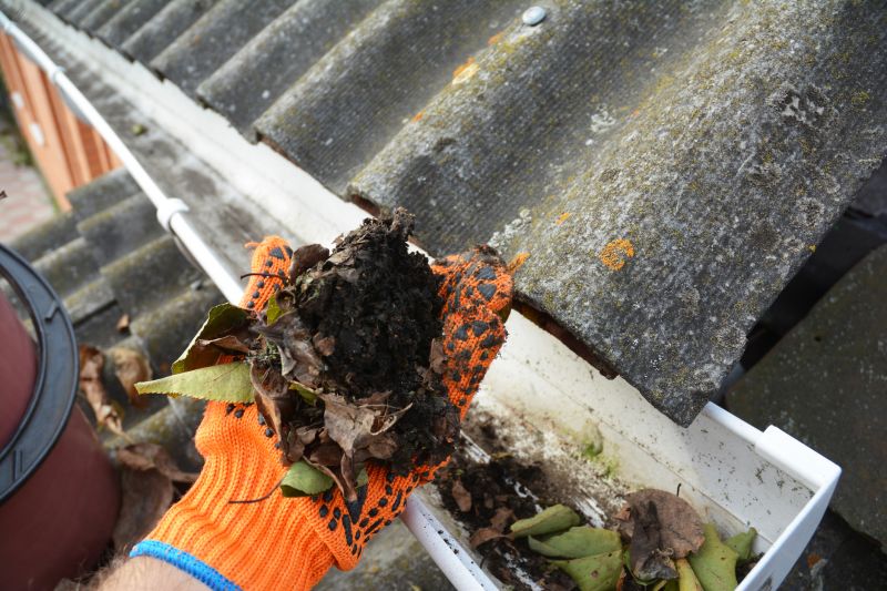 Clogged Gutter Damage